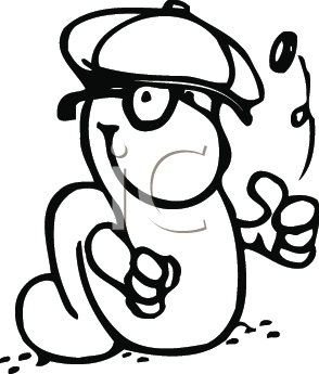 Insect Clipart