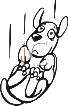 Pet Clipart