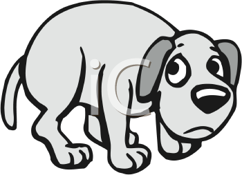 Pet Clipart