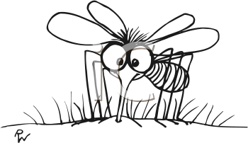 Insect Clipart