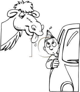 Camel Clipart