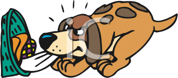 Pet Clipart