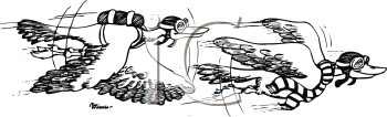 Insect Clipart