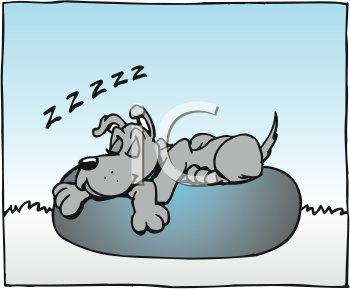 Pet Clipart