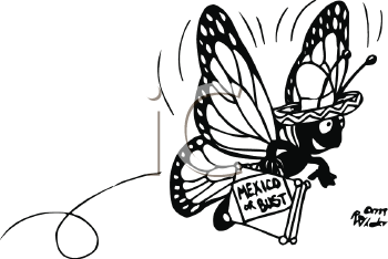 Insect Clipart