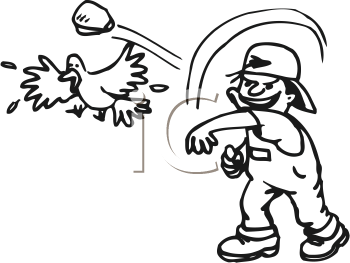 Insect Clipart