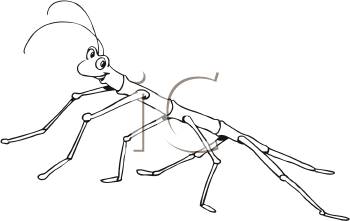 Insect Clipart