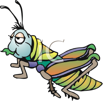 Insect Clipart