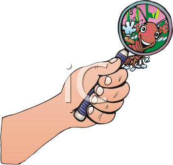 Insect Clipart