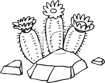 Nature and Scenic Clipart