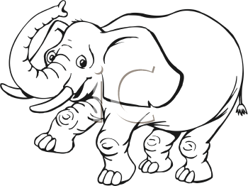 Mammal Clipart