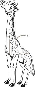 Mammal Clipart