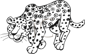 Big Cat Clipart