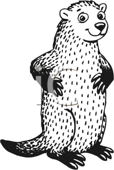 Pet Clipart