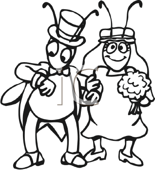 Insect Clipart