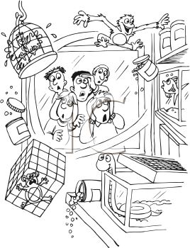Primate Clipart