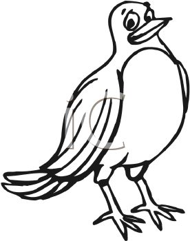 Insect Clipart