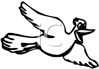 Insect Clipart