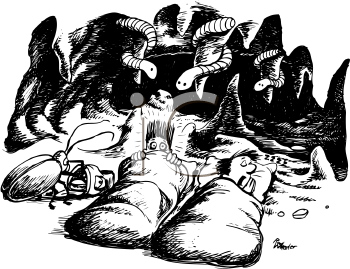 Insect Clipart