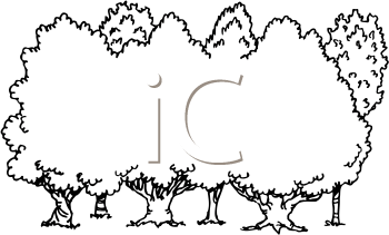Cartoon Clipart