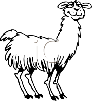 Camel Clipart