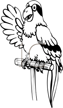 Bird Clipart
