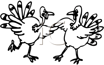 Bird Clipart