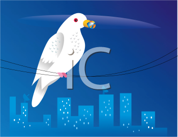 Bird Clipart