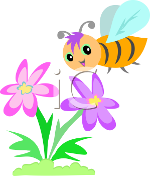 Insect Clipart