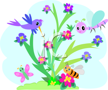 Insect Clipart