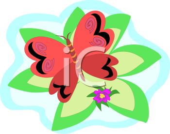 Insect Clipart