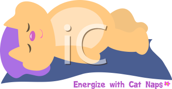 Pet Clipart