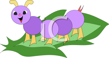 Insect Clipart