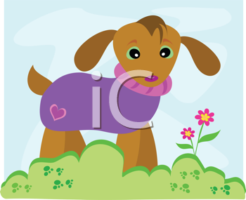 Pet Clipart