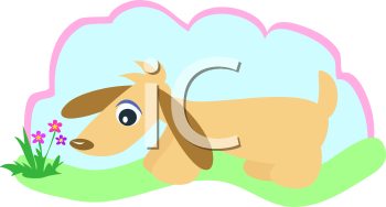 Pet Clipart