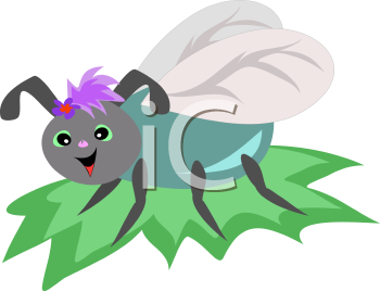 Insect Clipart