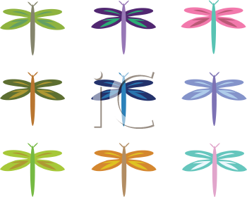 Insect Clipart