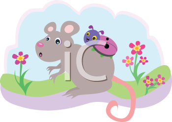Insect Clipart
