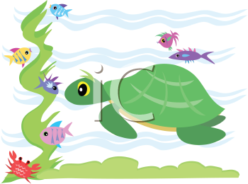 Fish and Sea Life Clipart