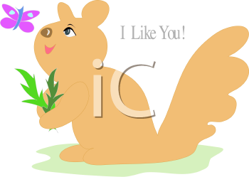 Insect Clipart