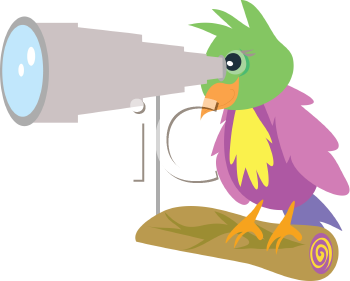 Insect Clipart