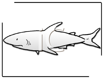 Fish and Sea Life Clipart