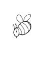 Insect Clipart