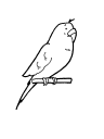 Mammal Clipart