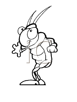 Insect Clipart