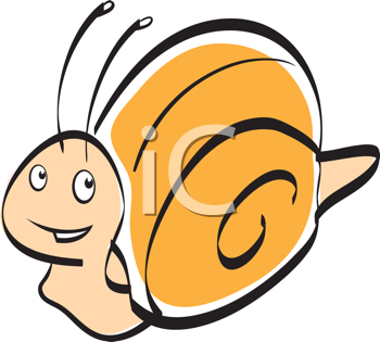 Insect Clipart