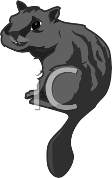 Rodent Clipart