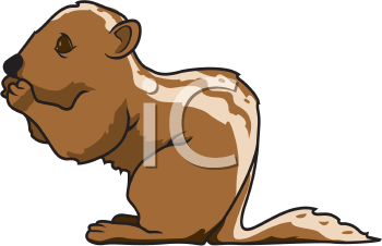 Rodent Clipart