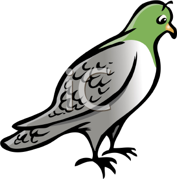 Insect Clipart