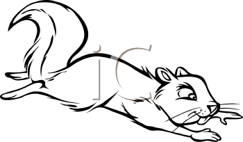 Rodent Clipart